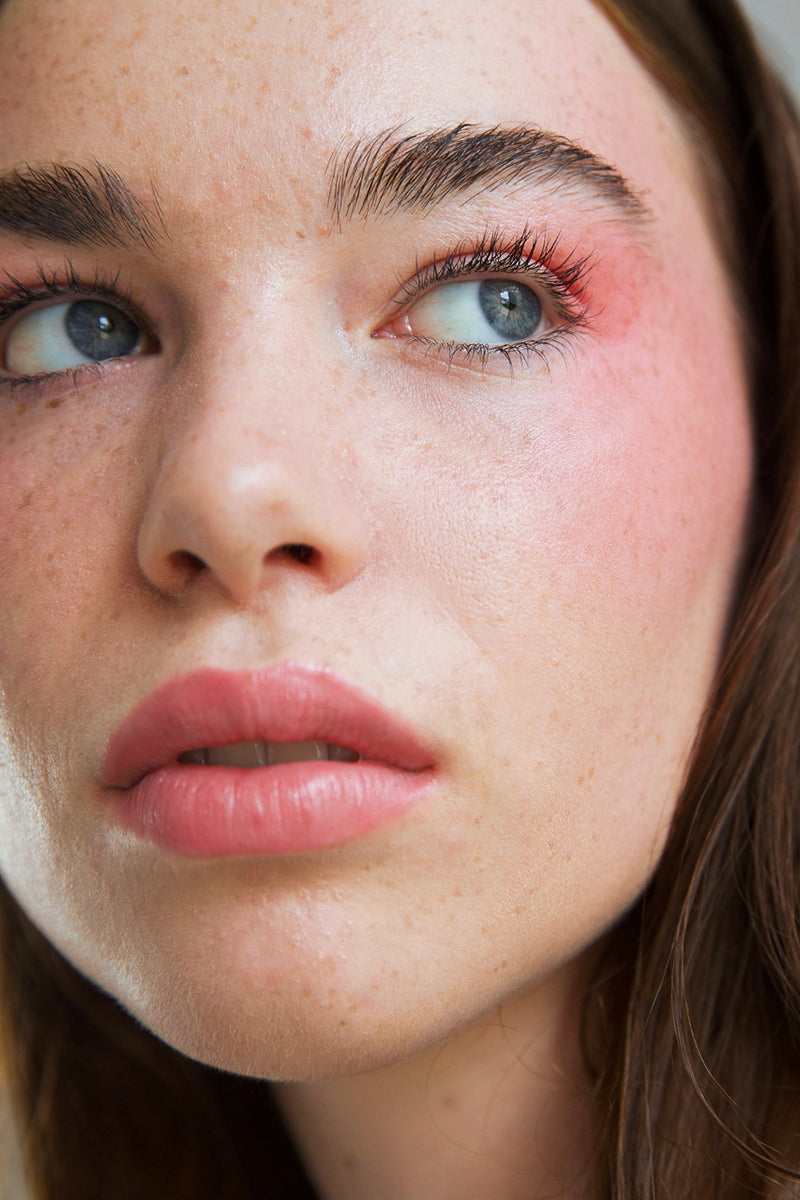 Carrot Colour Pot Model