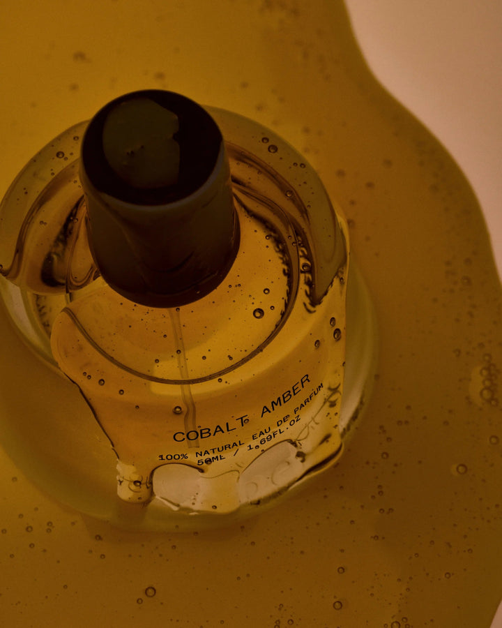 Cobalt Amber Eau de Parfum - Blanda Beauty