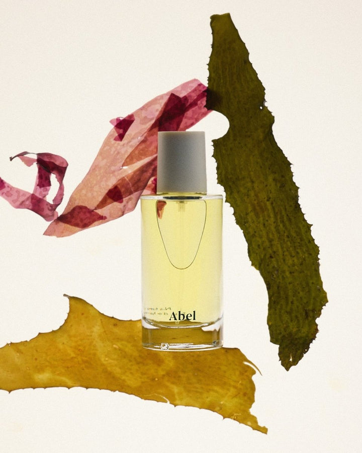 Cyan Nori - Still Life Mood