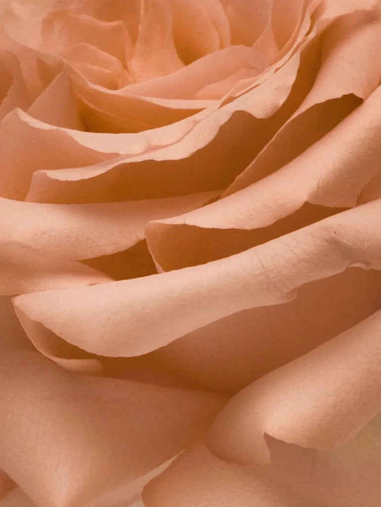 Nurture Eau de Parfum - Blanda Beauty