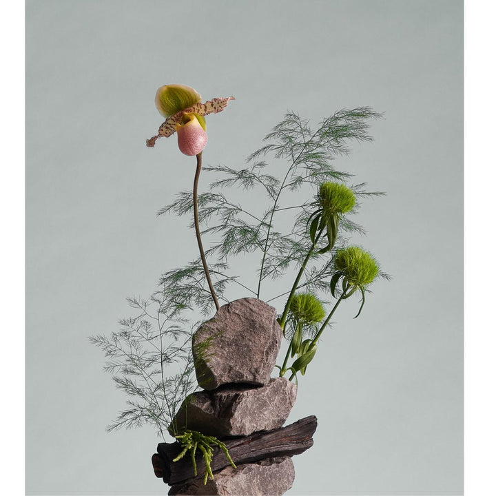 Abhati Suisse Manali Herbs