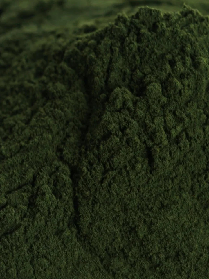 Anima Mundi Chlorella - Pulver