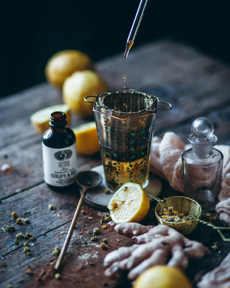 Anima Mundi Colds Cocktail - Zubereitung