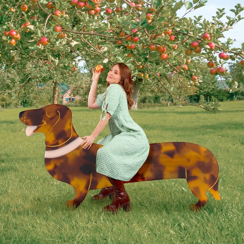 Dachhund French Barette Haarklammer - Collage