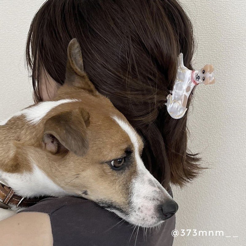 Jack Russel Hair Claw in Hair