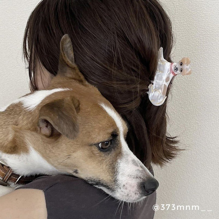 Jack Russel Hair Claw in Hair
