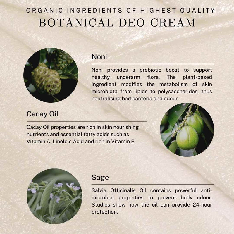 Noni Botanical Deodorant Cream Bio Inhaltsstoffe