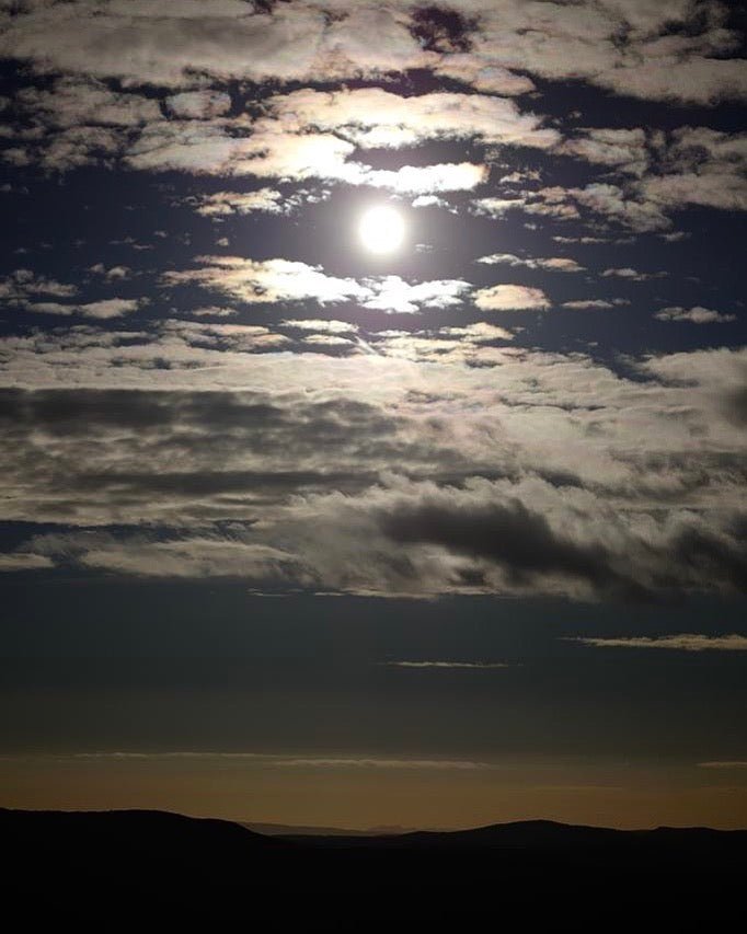 Élisire Extrait Noir Dawn