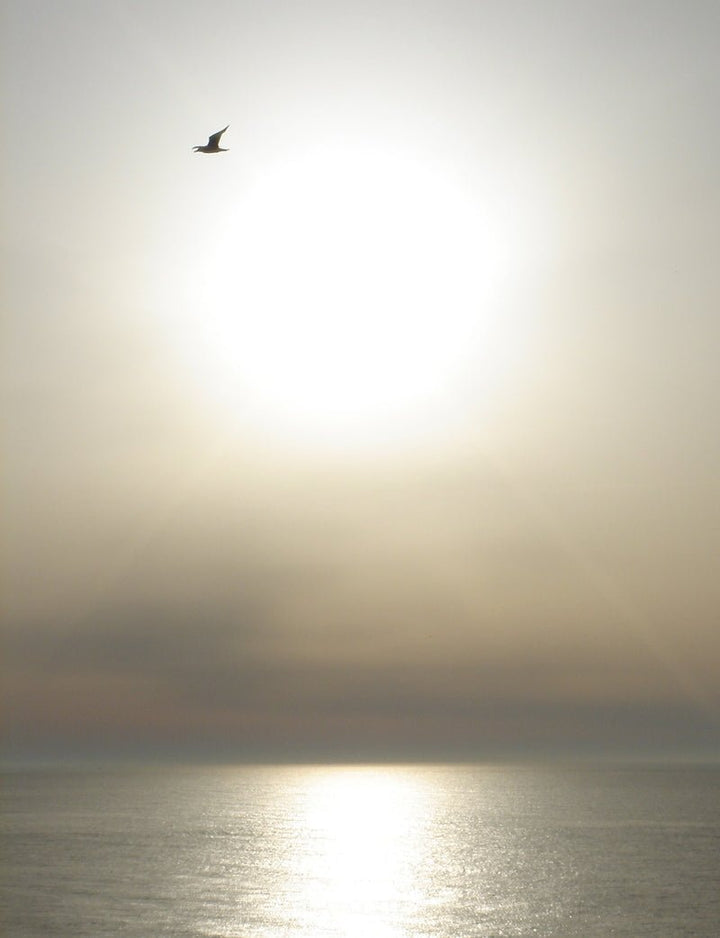 Jasmin Paradis Extrait de Parfum Mood Ocean