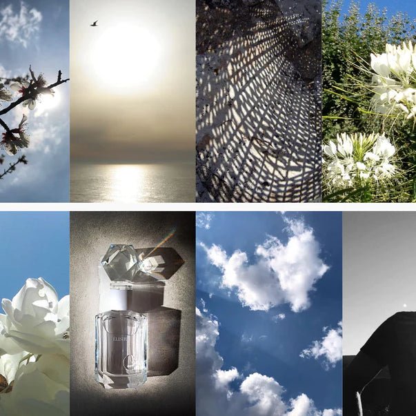 Élisire Jasmin Paradis Extrait de Parfum Mood