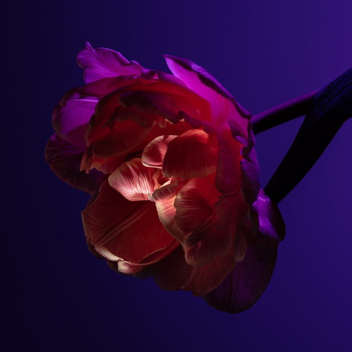 Greenborn Deodorant Raw Matter Mood Flower