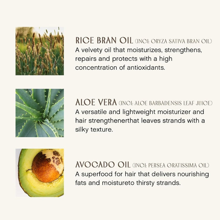 Pure Inspiration Daily Conditioner - What is inside