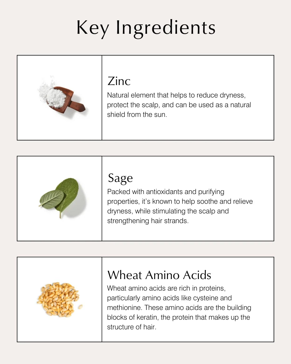 Scalp Conditioning Shampoo Still Life Hauptinhaltsstoffe