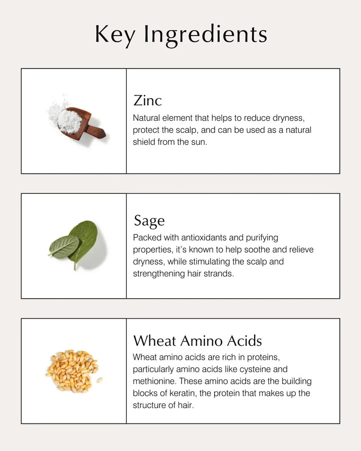 Scalp Conditioning Shampoo Still Life Hauptinhaltsstoffe