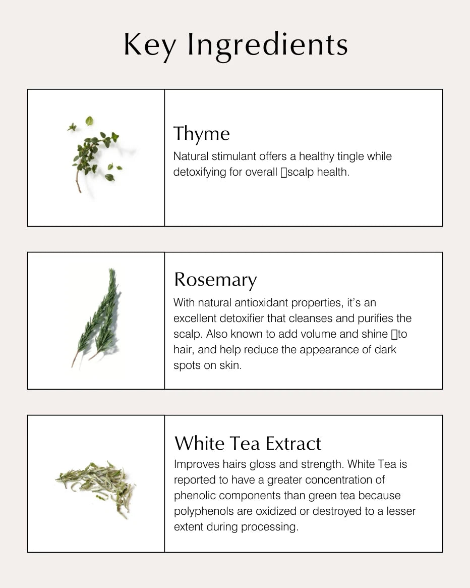 Scalp Follicle Treatment & Volumizer Hauptinhaltsstoffe