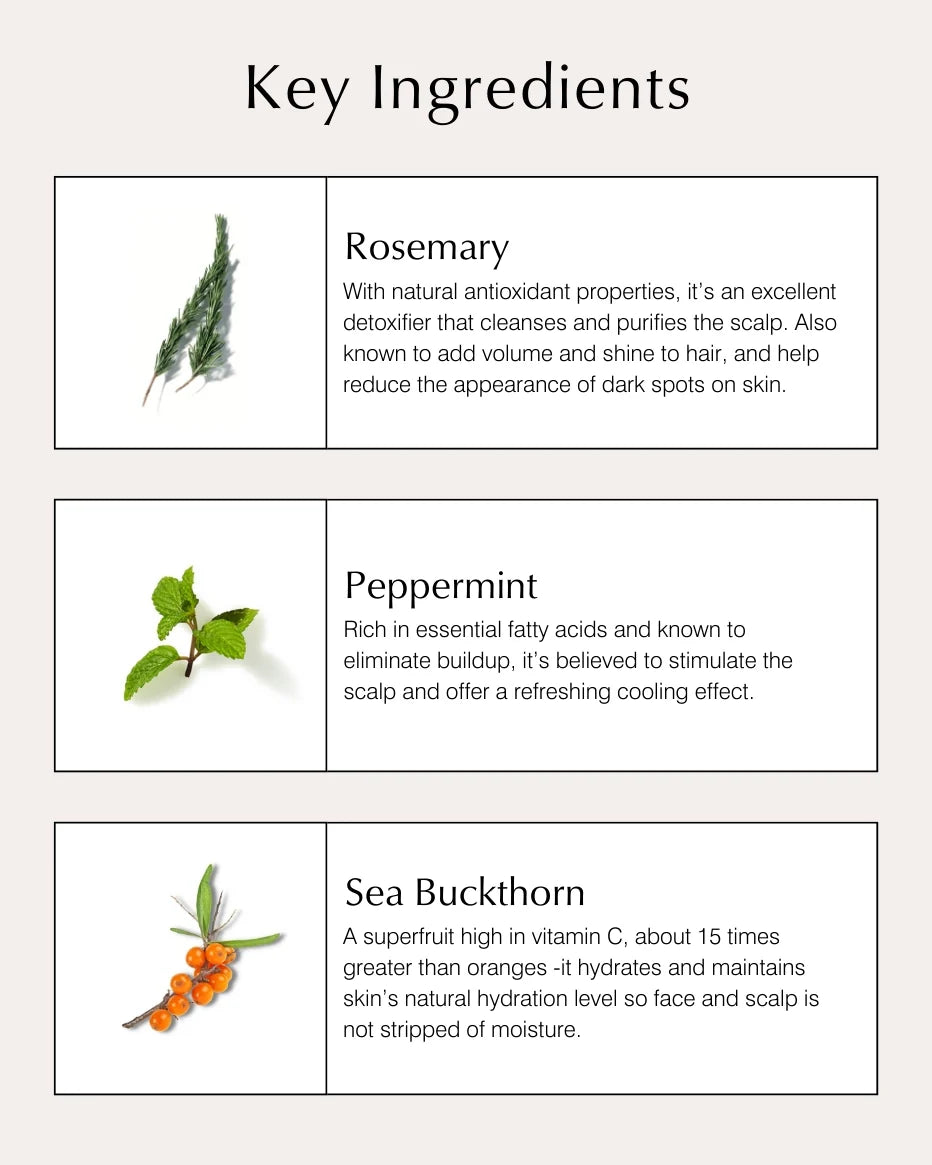 Volumizing Conditioner With Rosemary & Peppermint Hauptinhaltsstoffe