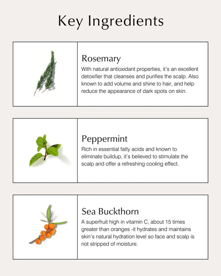 Volumizing Conditioner With Rosemary & Peppermint Hauptinhaltsstoffe