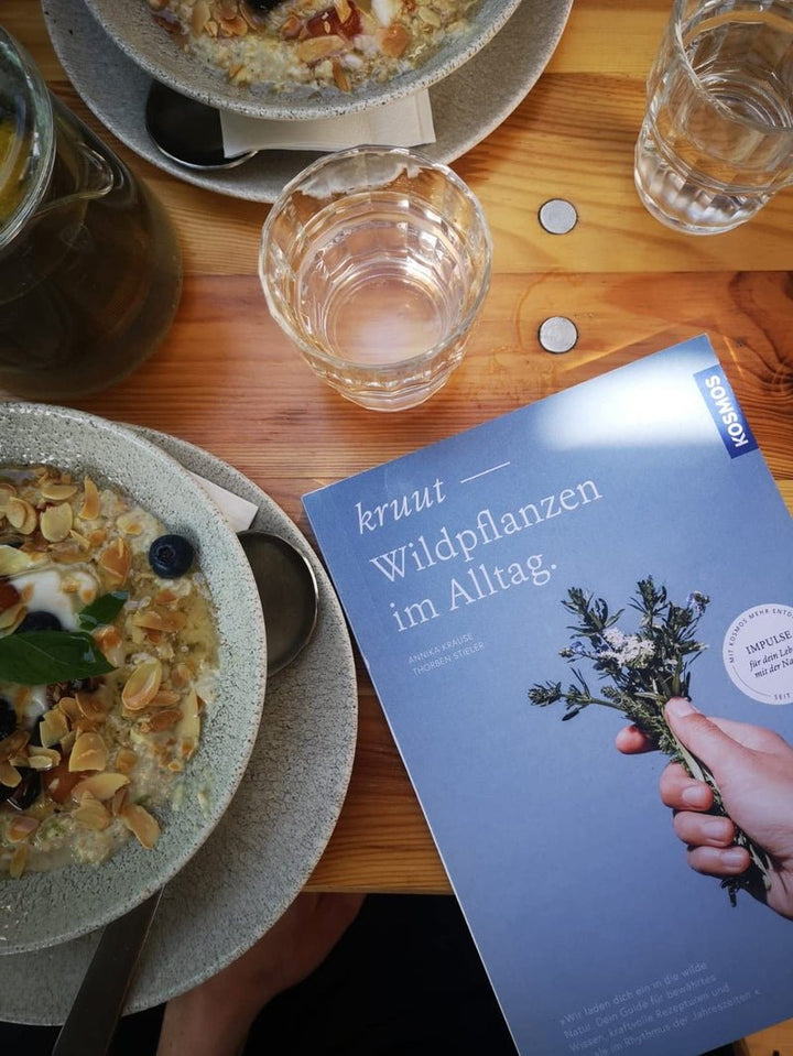 Wildpflanzen im Alltag Still Life