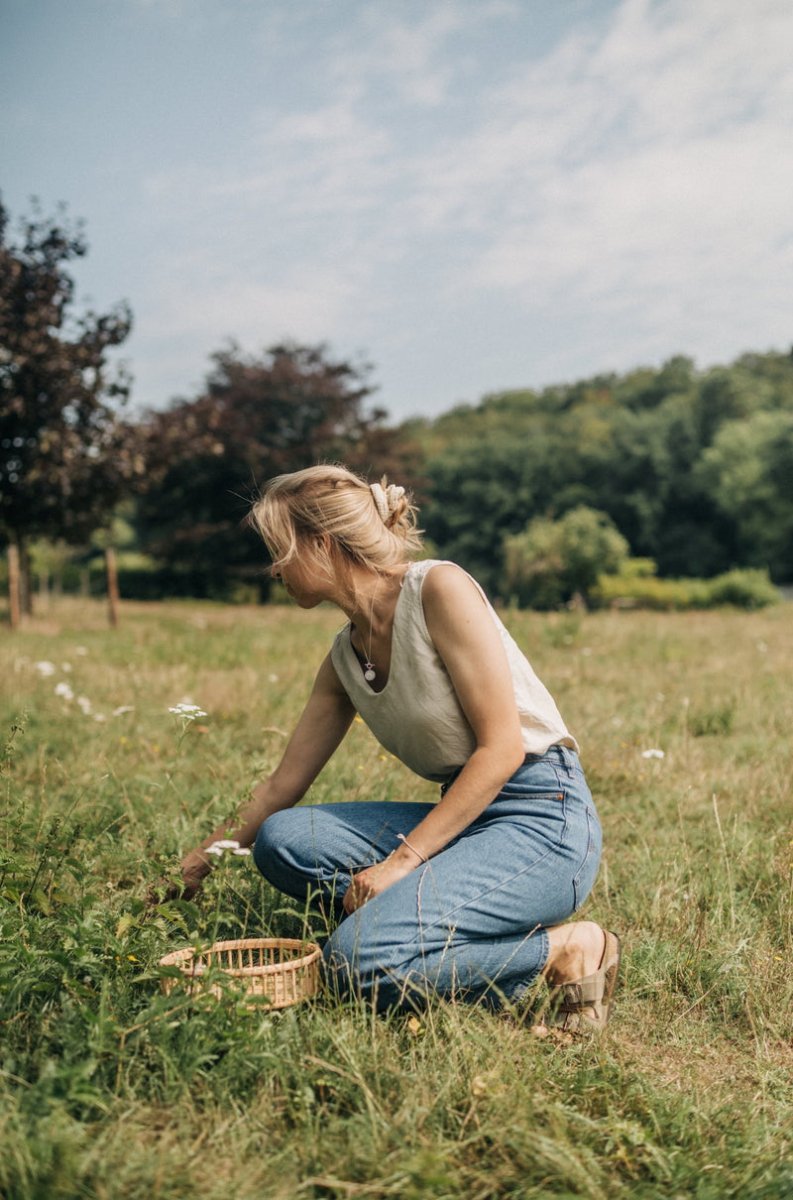 Wildpflanzen im Alltag Beim Sammeln