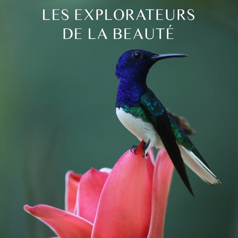 Perfecting Lotion With Purifying Agents Nature