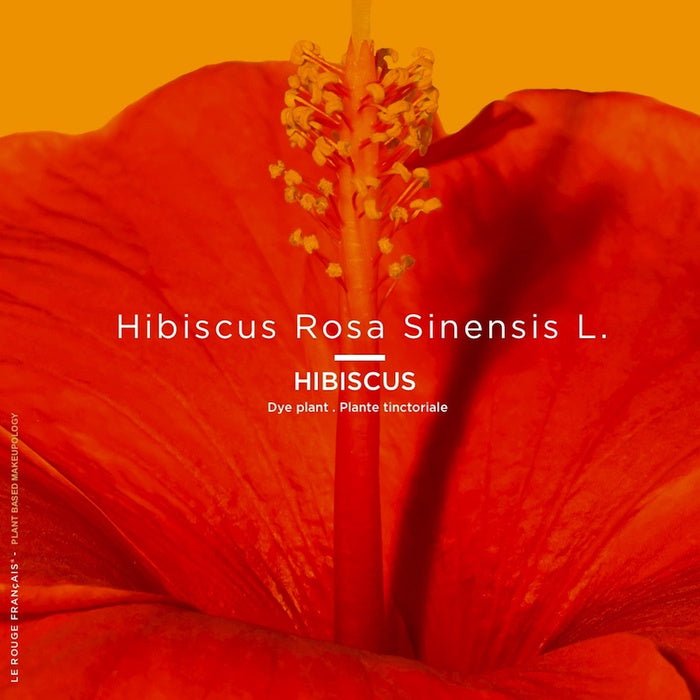 Le Rouge Francais Lipstick 013 Le Rouge - Colour Pigment