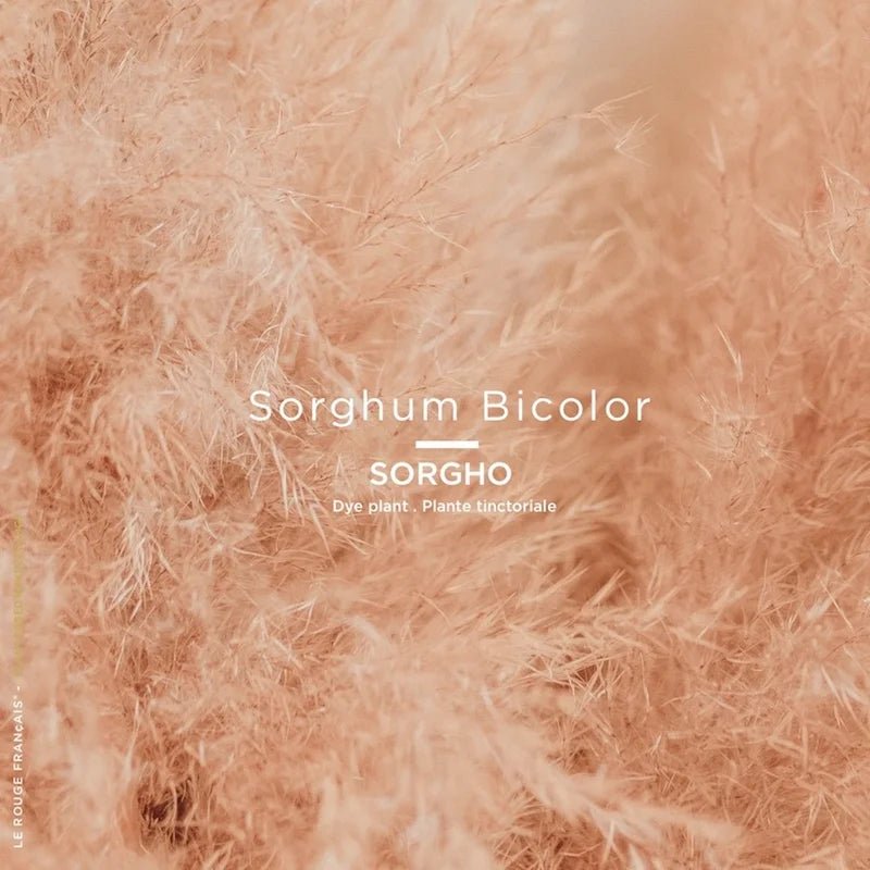 Le Rouge Français Lipstick 032 Le Nude Kafir - Pigment