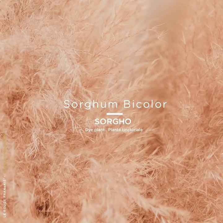 Le Rouge Français Lipstick 032 Le Nude Kafir - Pigment