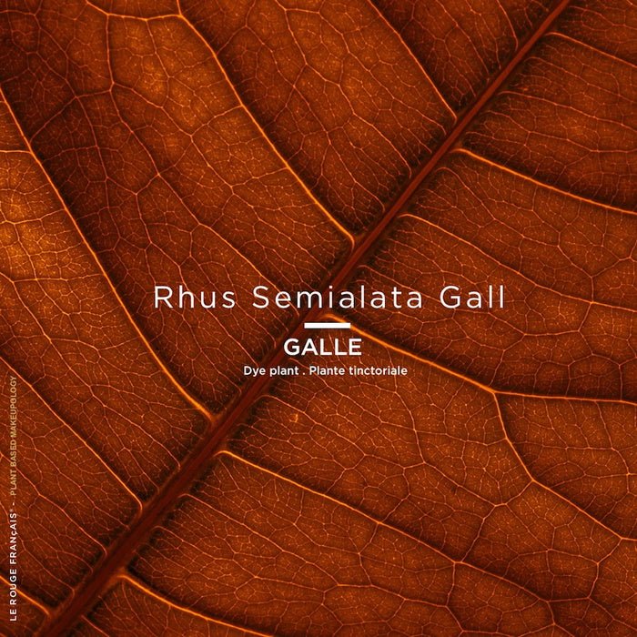 Lipstick 040 Le Rose Licandre Colour