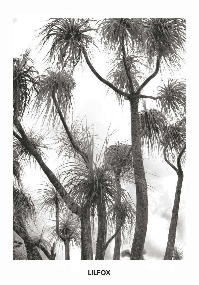 Succulent Pudding Super Calm Emulsion Still Life