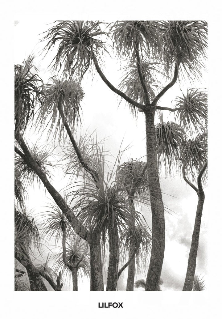 Succulent Pudding Super Calm Emulsion Still Life