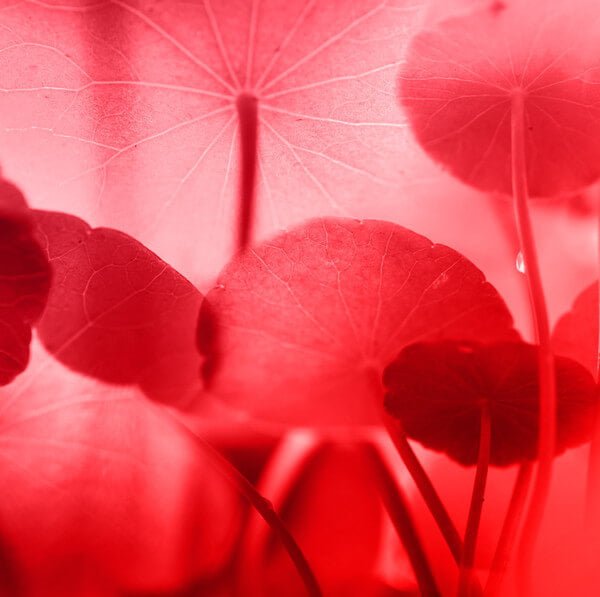 Mádara SOS Rich Hydra-Barrier CICA Cream 40 ml