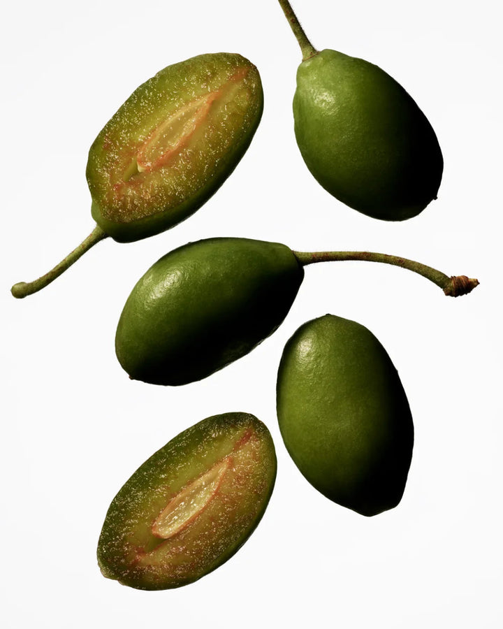 Manasi 7 Tinted Beauty Potion - Pflaumenkernöl