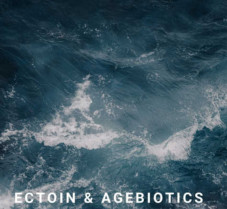 Naya Exo Timeless ReGen Serum - Ectoin