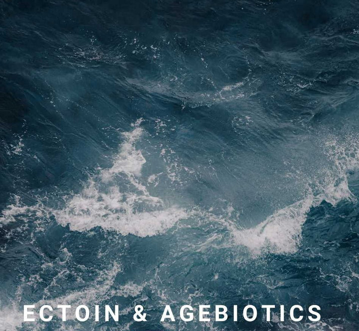 Naya Exo Timeless ReGen Serum - Ectoin