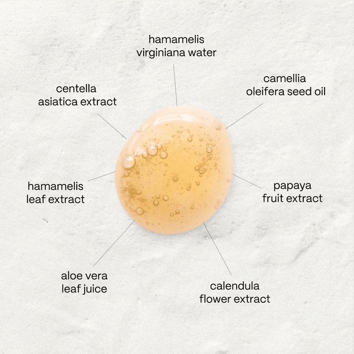 Normal Mencare Nº1 Purifying Cleanser - Aktive Wirkstoffe