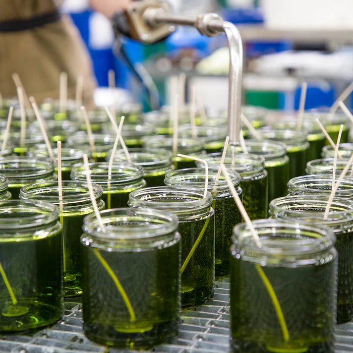 P.F. Candle Co. Campfire - Herstellung