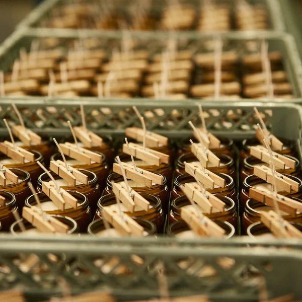 Spiced Pumpkin 204 g