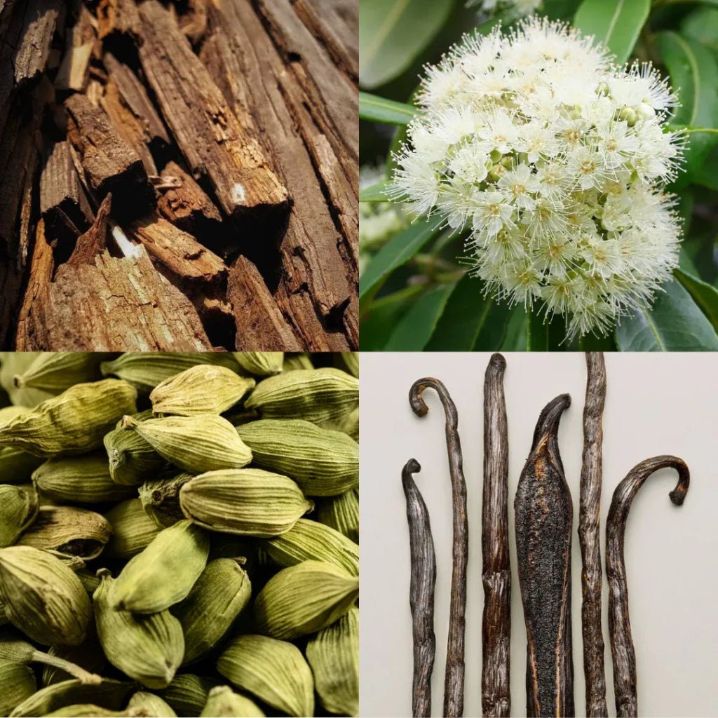 Blackened Santal Eau De Parfum 50 ml - Blanda Beauty