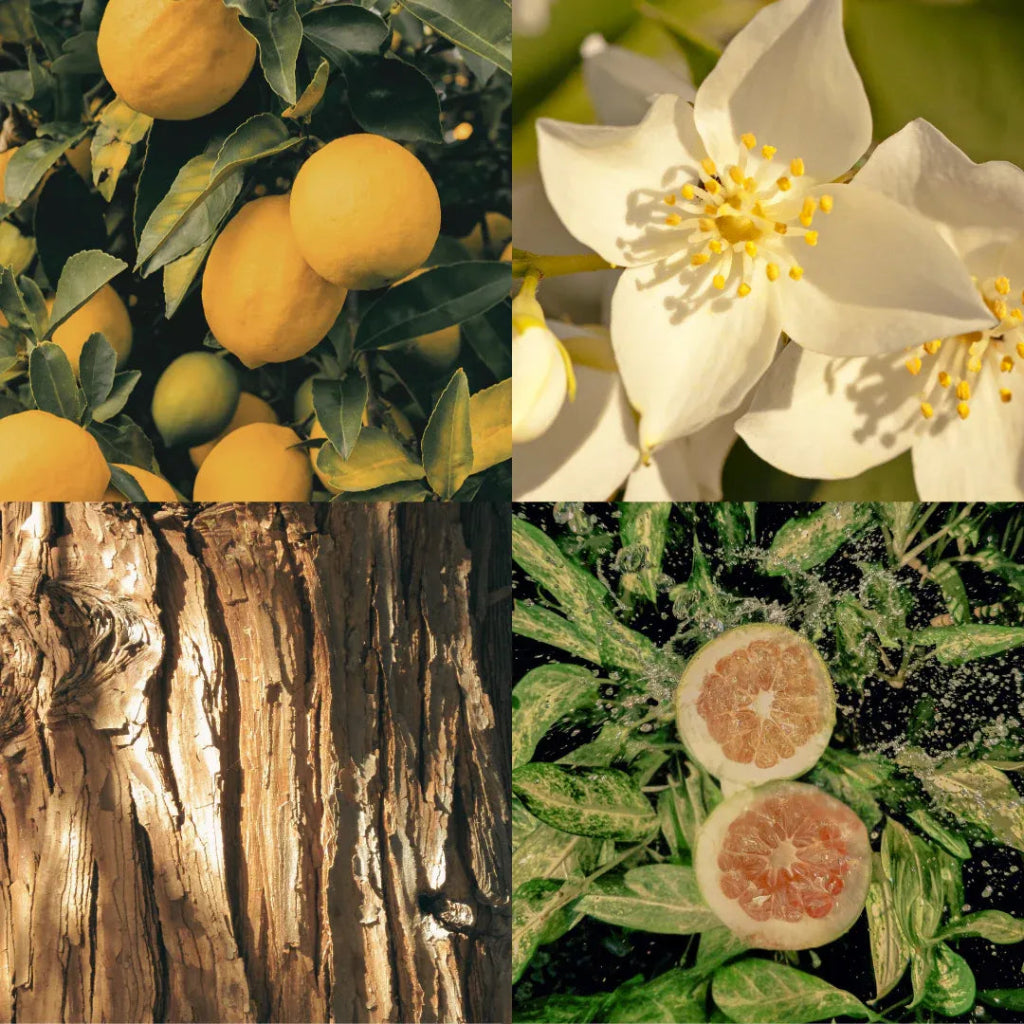 No Vacancy 50 ml - Blanda Beauty