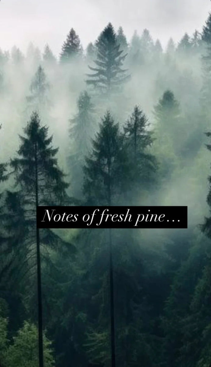 RAAW Alchemy The Minted Fig Diffuser - Kiefernholz