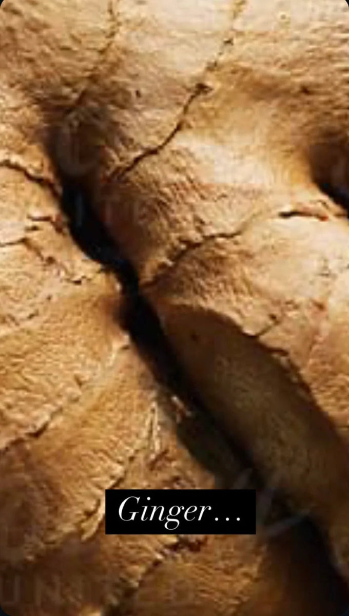 RAAW Alchemy The Minted Fig Diffuser - Ingwer