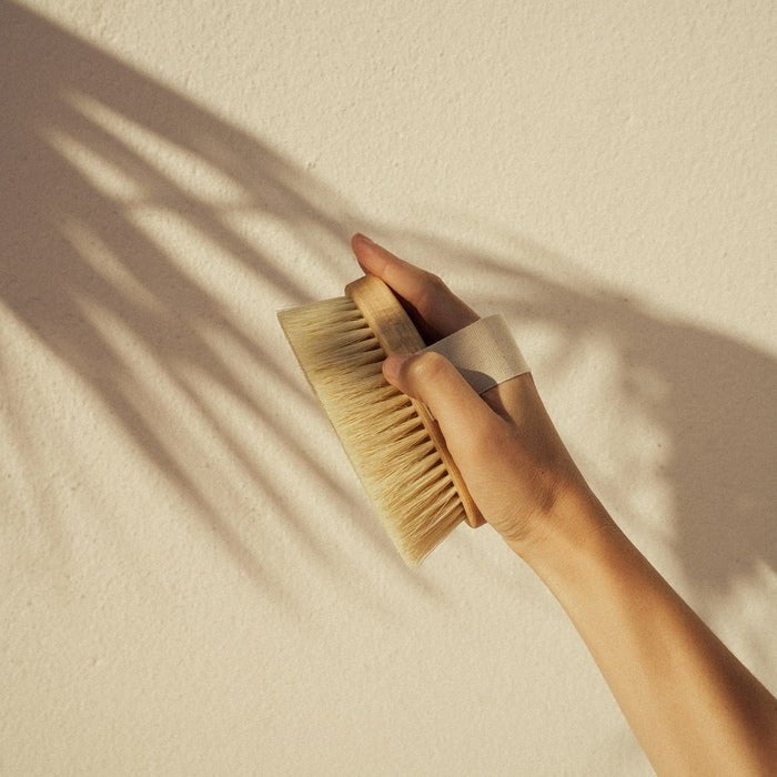 Ruhi The Vegan Dry Brush Lifestyle Image