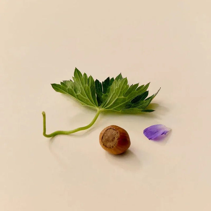 The Morning Glow Inhaltsstoffe