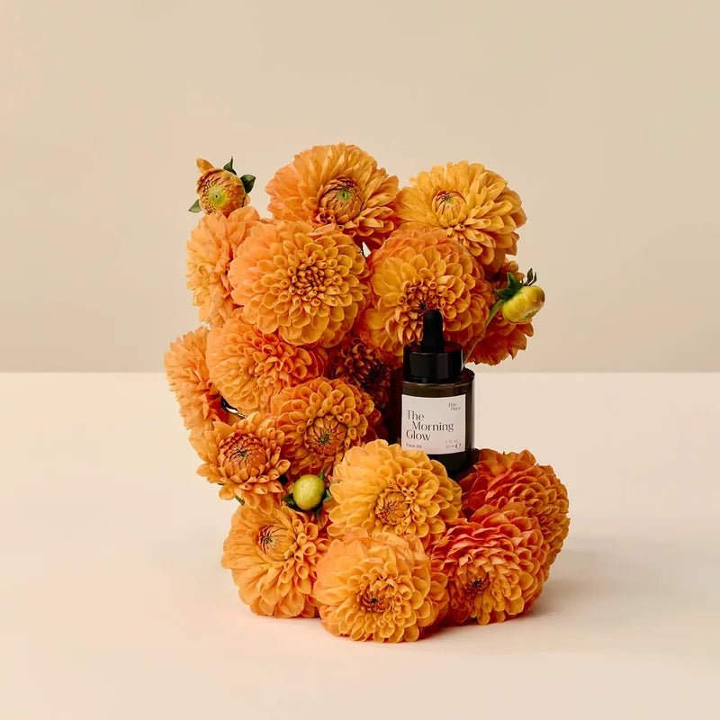 The Morning Glow Mood