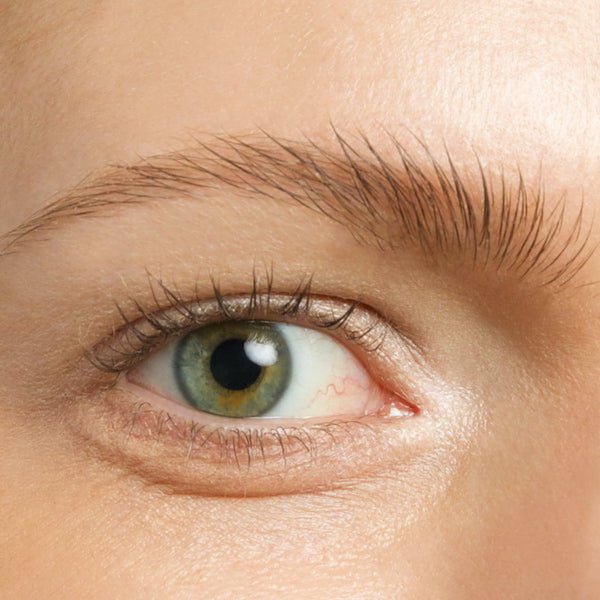 Froh Brow Bow Gel Clear 02 Model