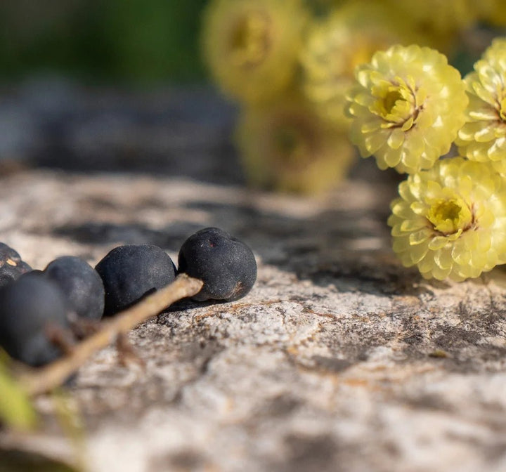 C5 - Cédrat Myrte Immortelle - Blanda Beauty