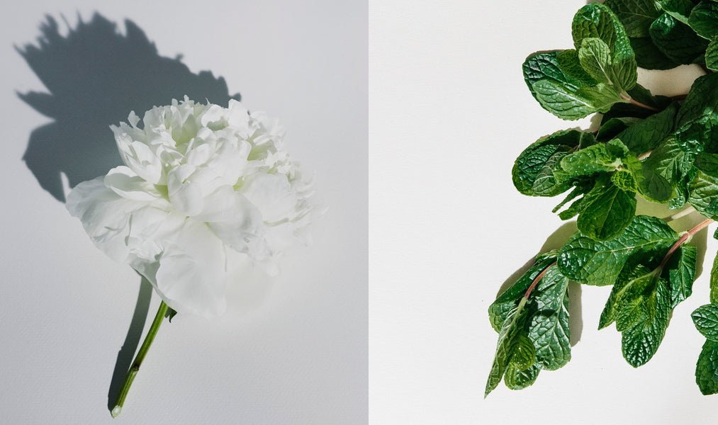 Ätherische Öle - zwischen Dufterlebnis und Allergie