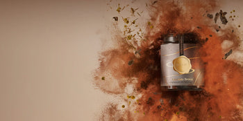 Noelie Organic Hair Colors - Healing Herbs Chocolate Brown