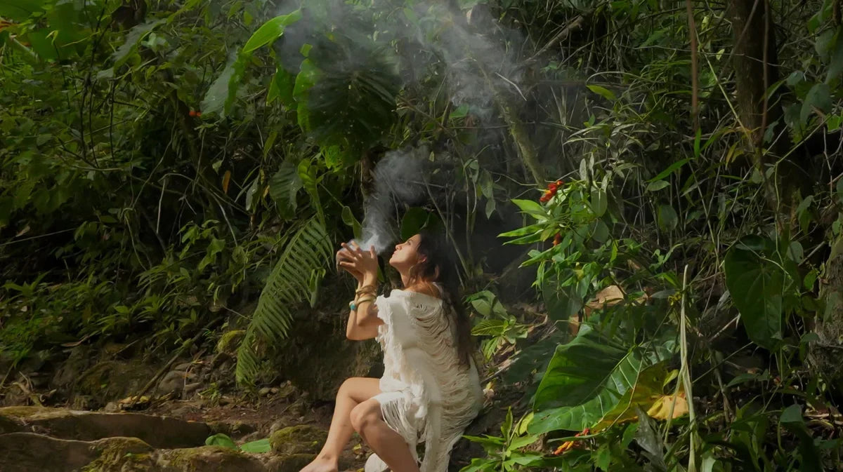 The Rainforest Apothecary