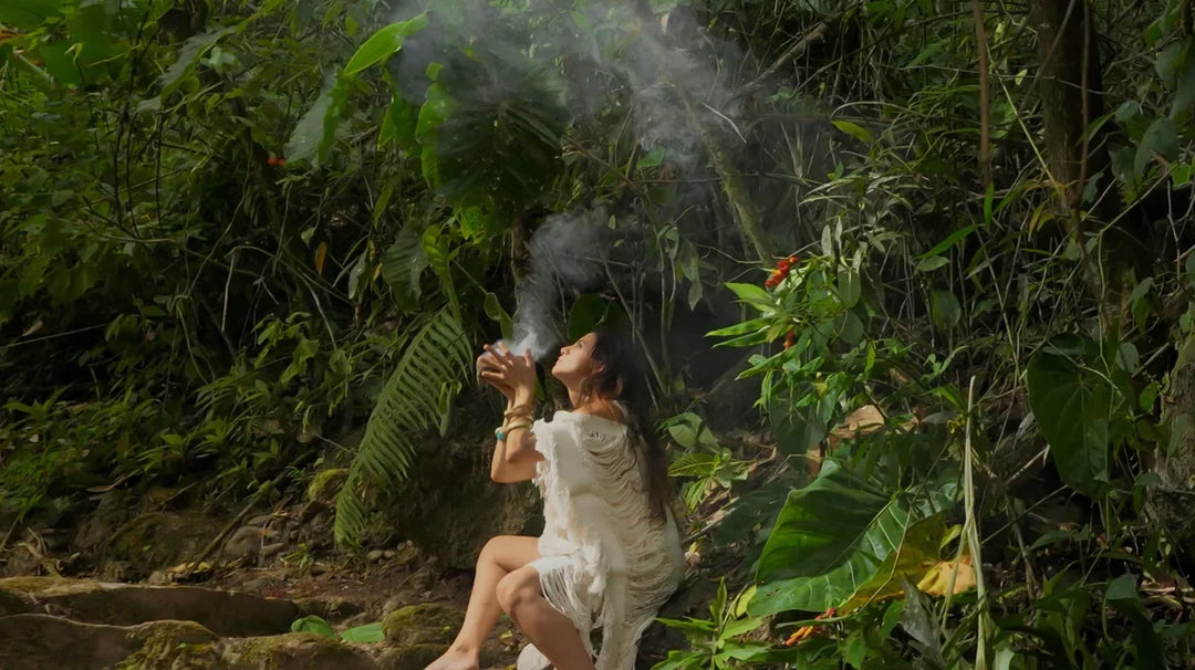 The Rainforest Apothecary